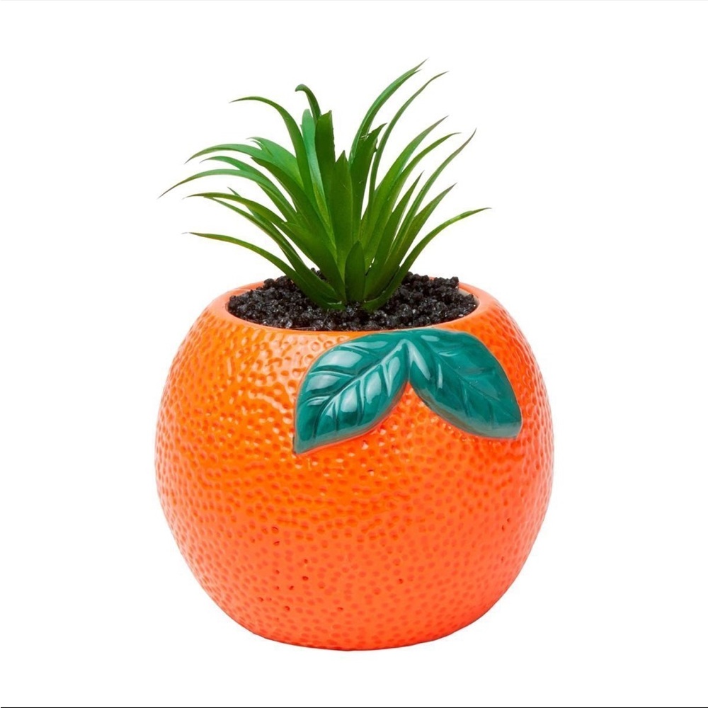 Orange Planter with Green Leaves